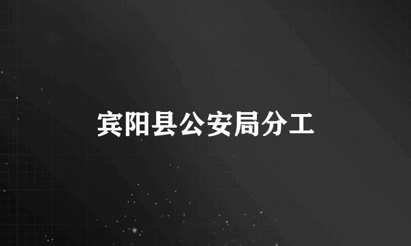 宾阳县公安局分工