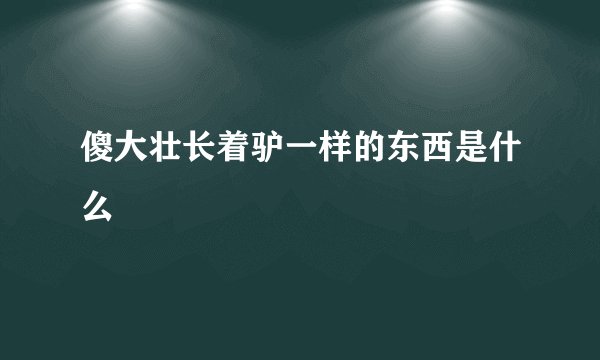 傻大壮长着驴一样的东西是什么