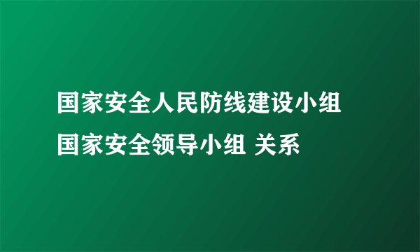 国家安全人民防线建设小组 国家安全领导小组 关系
