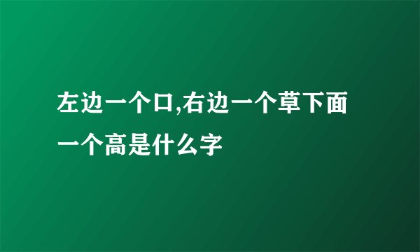 左边一个口,右边一个草下面一个高是什么字