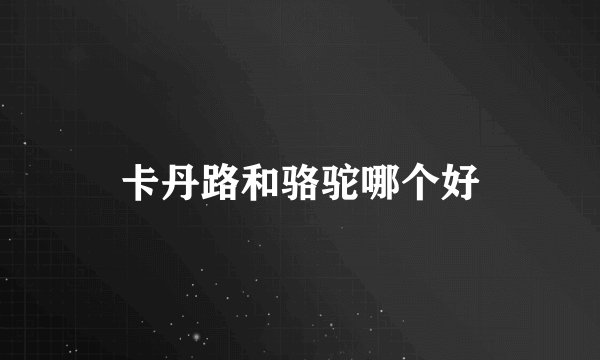 卡丹路和骆驼哪个好
