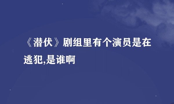《潜伏》剧组里有个演员是在逃犯,是谁啊