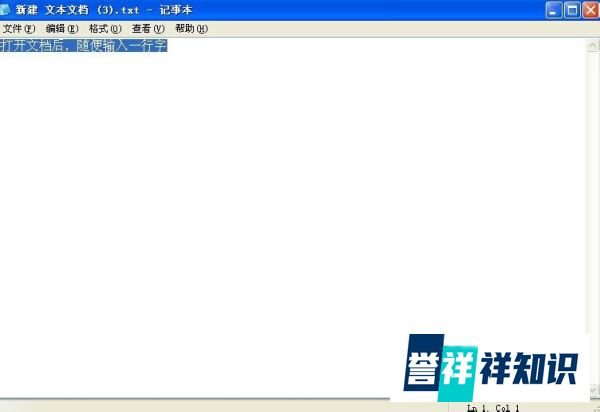 文本文档怎么改格式,怎样修改文本文档的格式