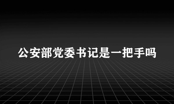 公安部党委书记是一把手吗
