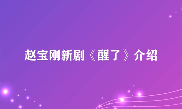 赵宝刚新剧《醒了》介绍