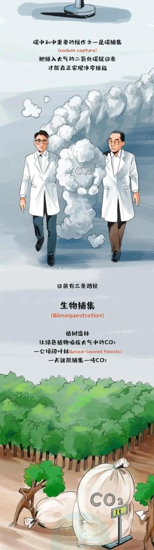 什么叫“碳达峰、碳中和”？一副漫画看明白