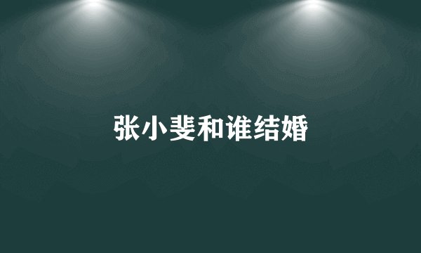 张小斐和谁结婚