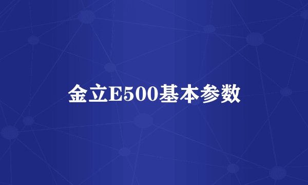 金立E500基本参数