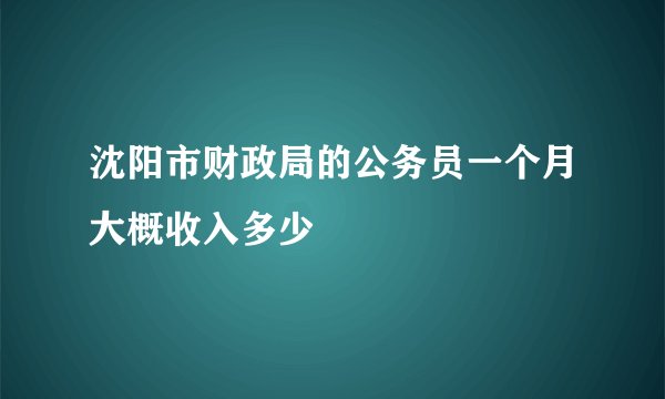 沈阳市财政局的公务员一个月大概收入多少