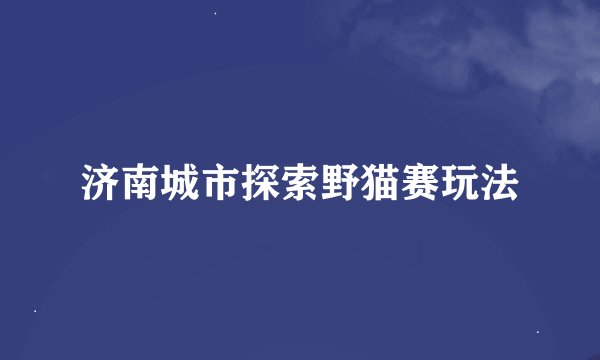 济南城市探索野猫赛玩法