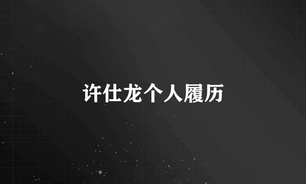 许仕龙个人履历