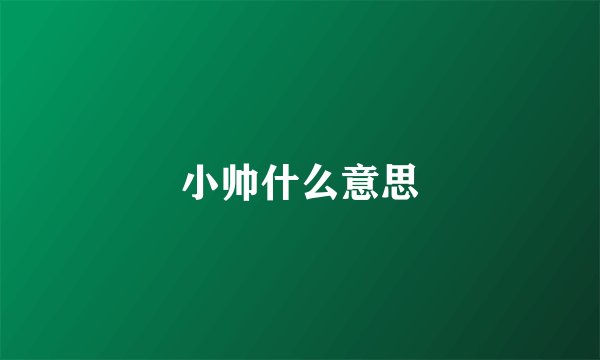 小帅什么意思
