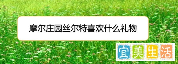 摩尔庄园丝尔特喜欢什么礼物