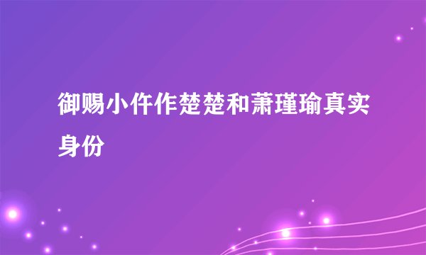 御赐小仵作楚楚和萧瑾瑜真实身份