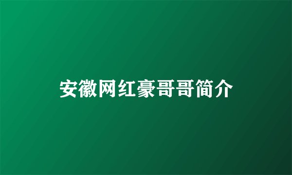 安徽网红豪哥哥简介