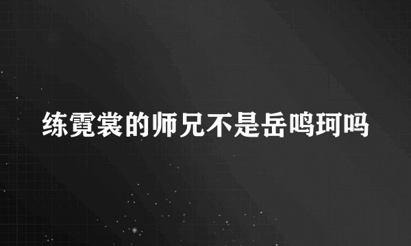练霓裳的师兄不是岳鸣珂吗