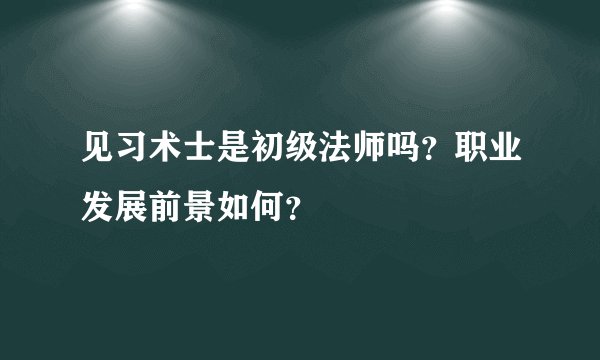 见习术士是初级法师吗？职业发展前景如何？