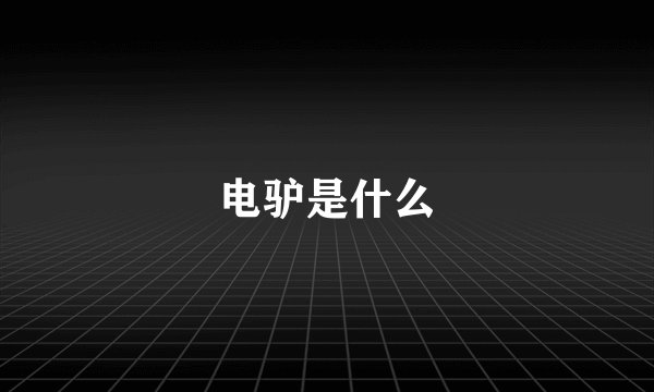 电驴是什么