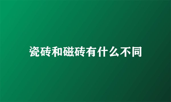 瓷砖和磁砖有什么不同