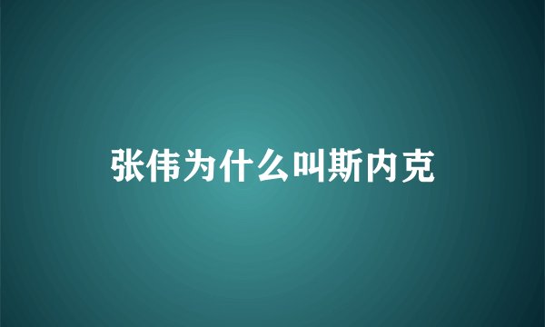 张伟为什么叫斯内克