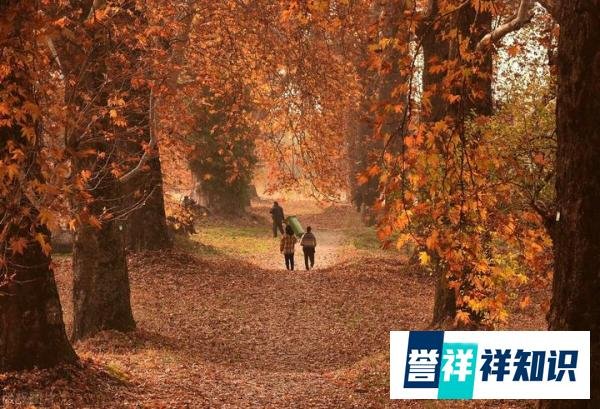 2023年末伏不一般,今年什么时候出伏?出伏后还要热多久?