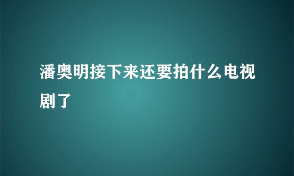 潘奥明接下来还要拍什么电视剧了
