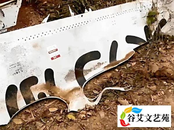 东航波音737垂直俯冲坠地，和国外两起空难惊人相似，原因一样？