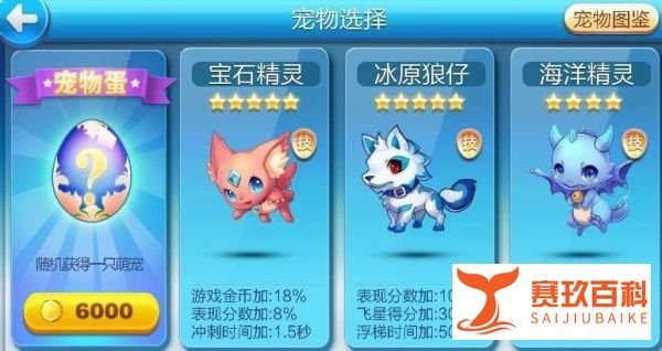 天天酷跑宠物大全/PVP最新版本