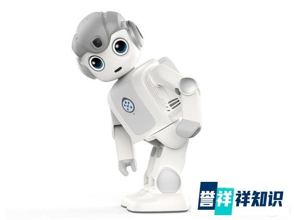 小伙30多万买机器人对外租8000一天