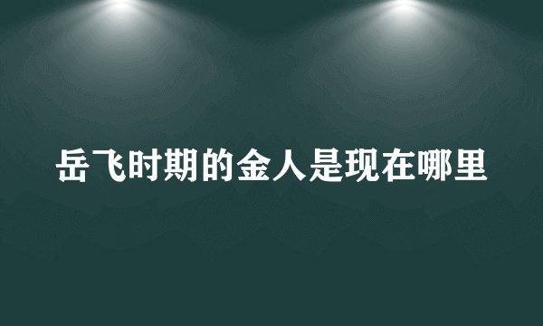 岳飞时期的金人是现在哪里