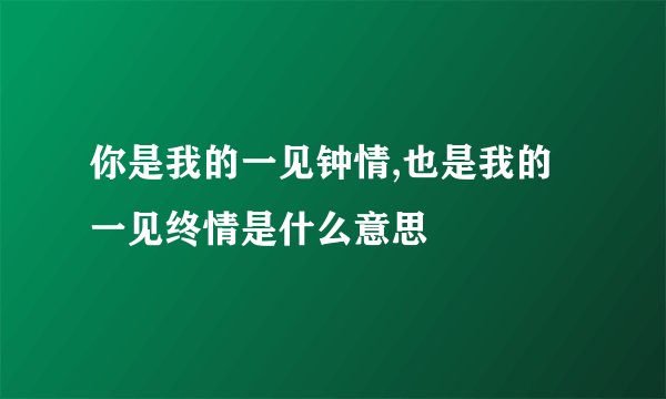 你是我的一见钟情,也是我的一见终情是什么意思