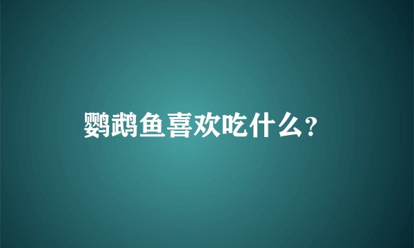 鹦鹉鱼喜欢吃什么？