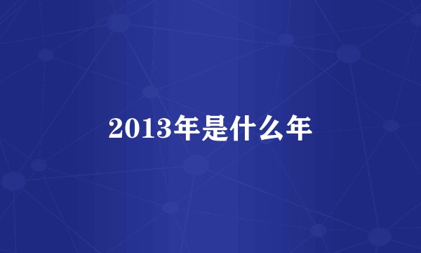 2013年是什么年