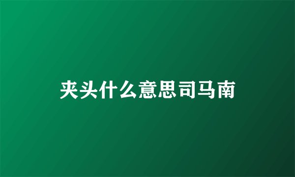 夹头什么意思司马南