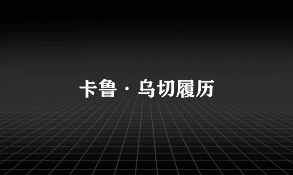 卡鲁·乌切履历