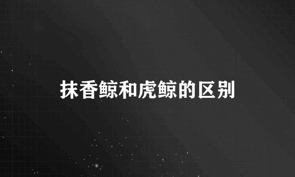 抹香鲸和虎鲸的区别