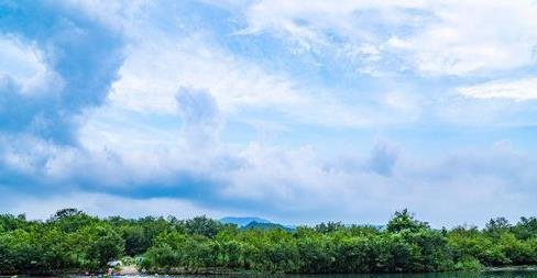 张若虚的《春江花月夜》,为什么会被称为孤篇压倒全唐?
