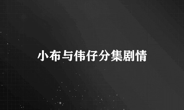 小布与伟仔分集剧情