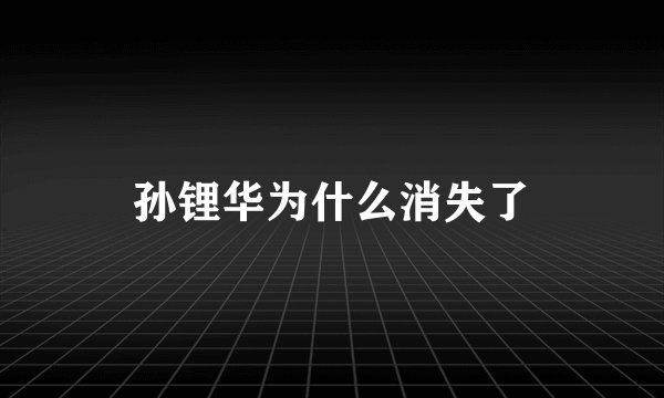 孙锂华为什么消失了