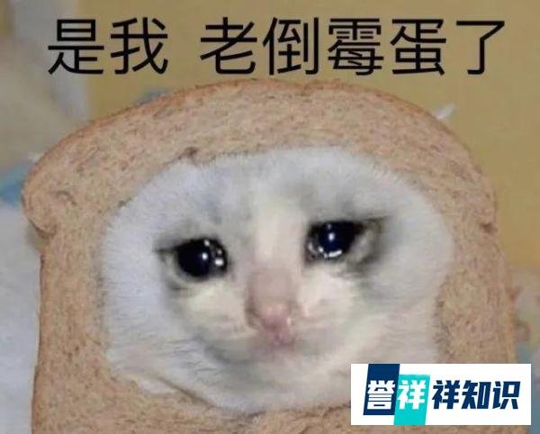 下雨ing,“Rain on me”是“在我身上下雨”吗?