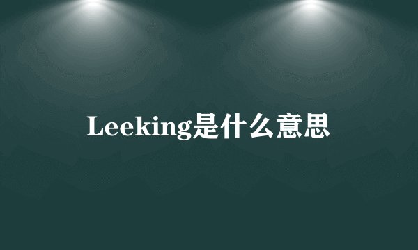 Leeking是什么意思