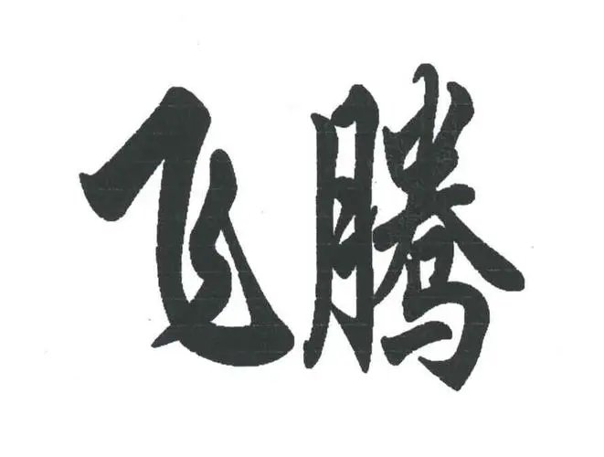 飞腾是词语吗