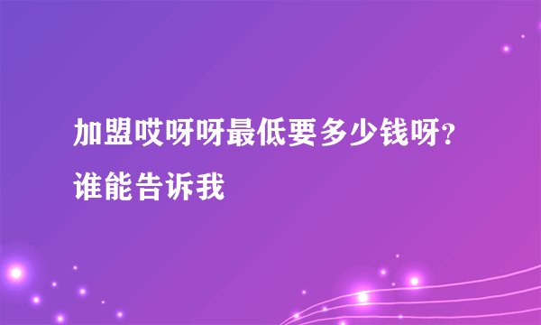 加盟哎呀呀最低要多少钱呀？谁能告诉我