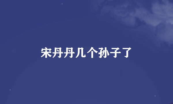 宋丹丹几个孙子了