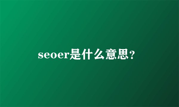 seoer是什么意思？
