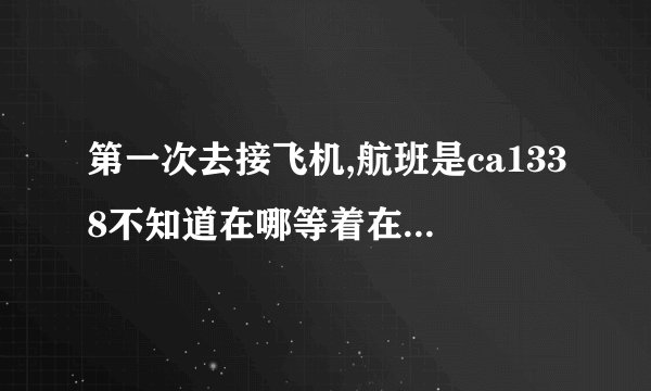 第一次去接飞机,航班是ca1338不知道在哪等着在哪接飞机请大家...