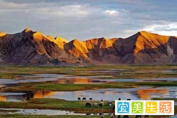 未经备案禁止前往青海省可可西里自然保护区旅游