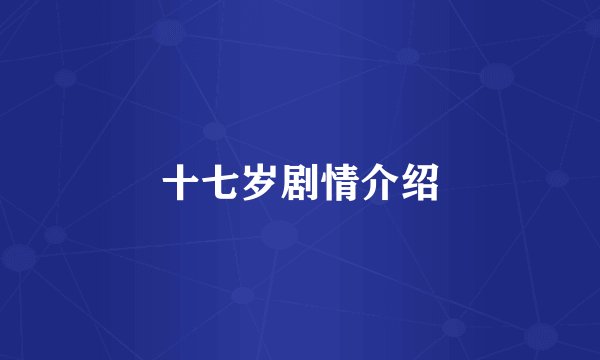十七岁剧情介绍