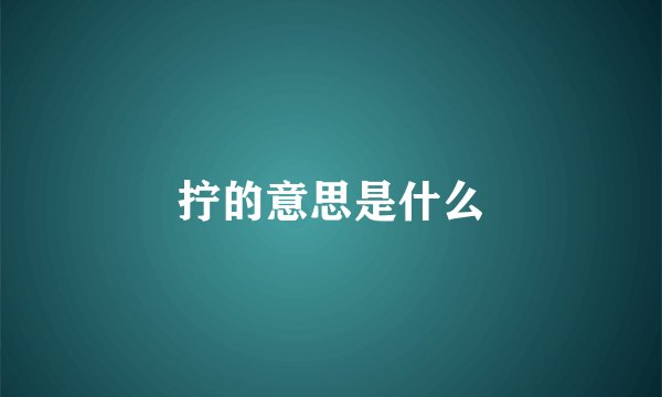 拧的意思是什么