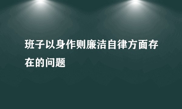 班子以身作则廉洁自律方面存在的问题